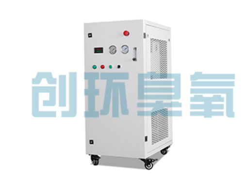 昆玉石斑鱼养殖水质调控完整指南:臭氧发生器配置与操作步骤