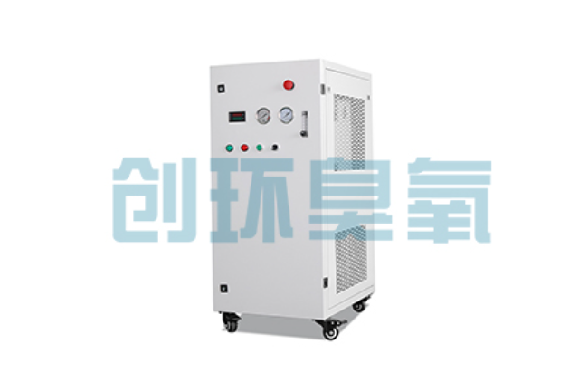 昆玉比传统换水更高效?臭氧发生器在石斑鱼养殖中的水质净化原理解析