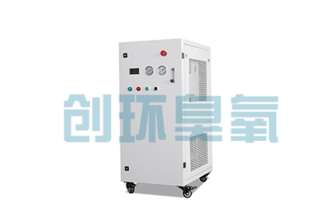 昆玉比传统换水更高效?臭氧发生器在石斑鱼养殖中的水质净化原理解析
